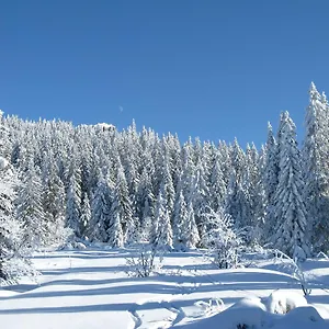 Brennes Deggendorf